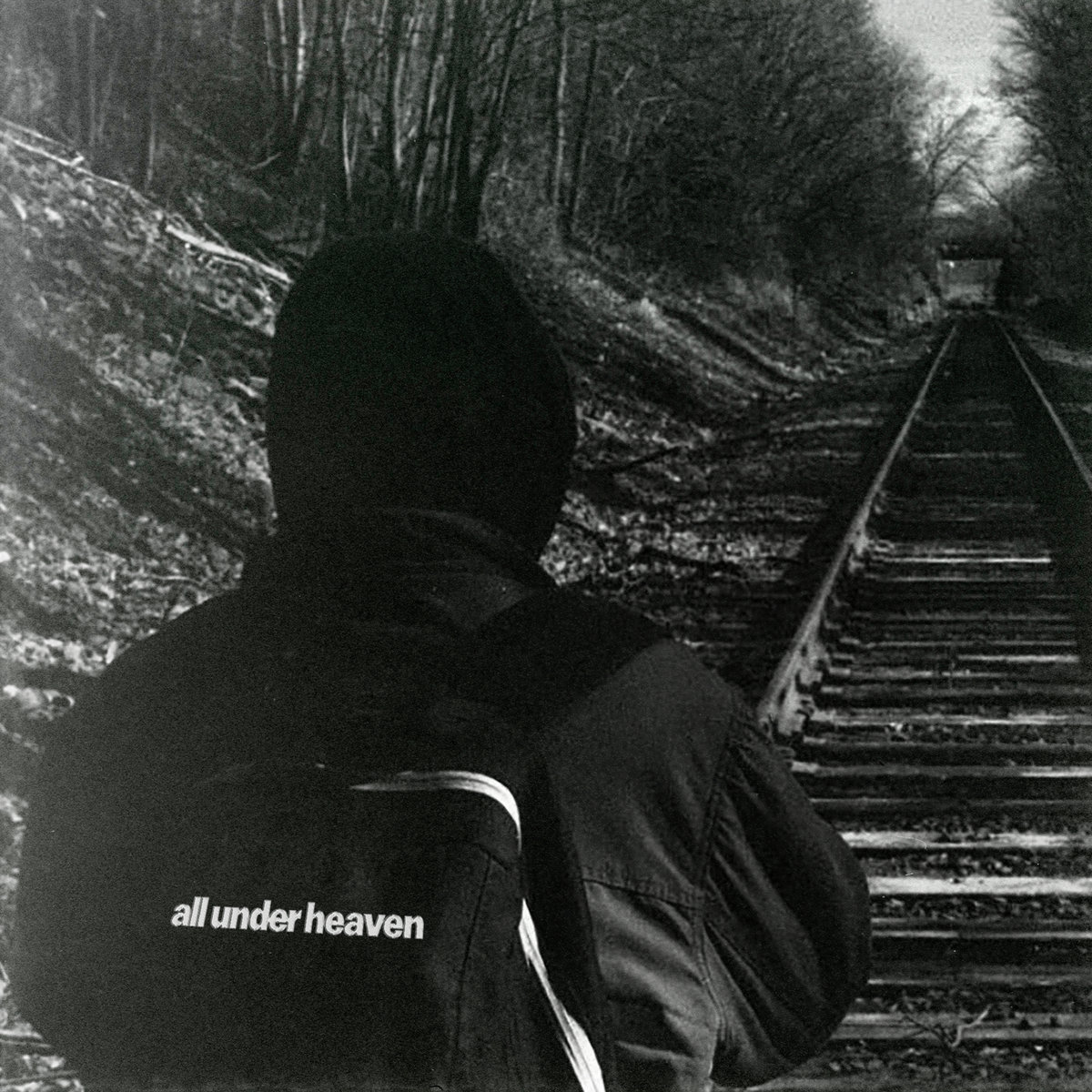 DSA 2 / Alley Cat Cover